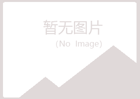 岐山县夏菡咨询有限公司